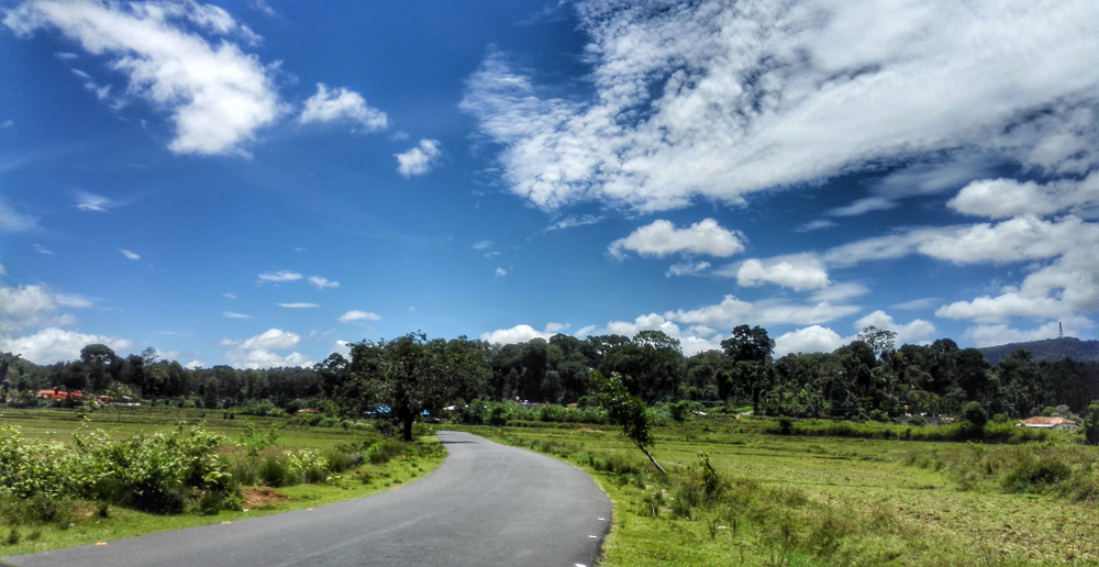 Road Trip from Bangalore to Coorg